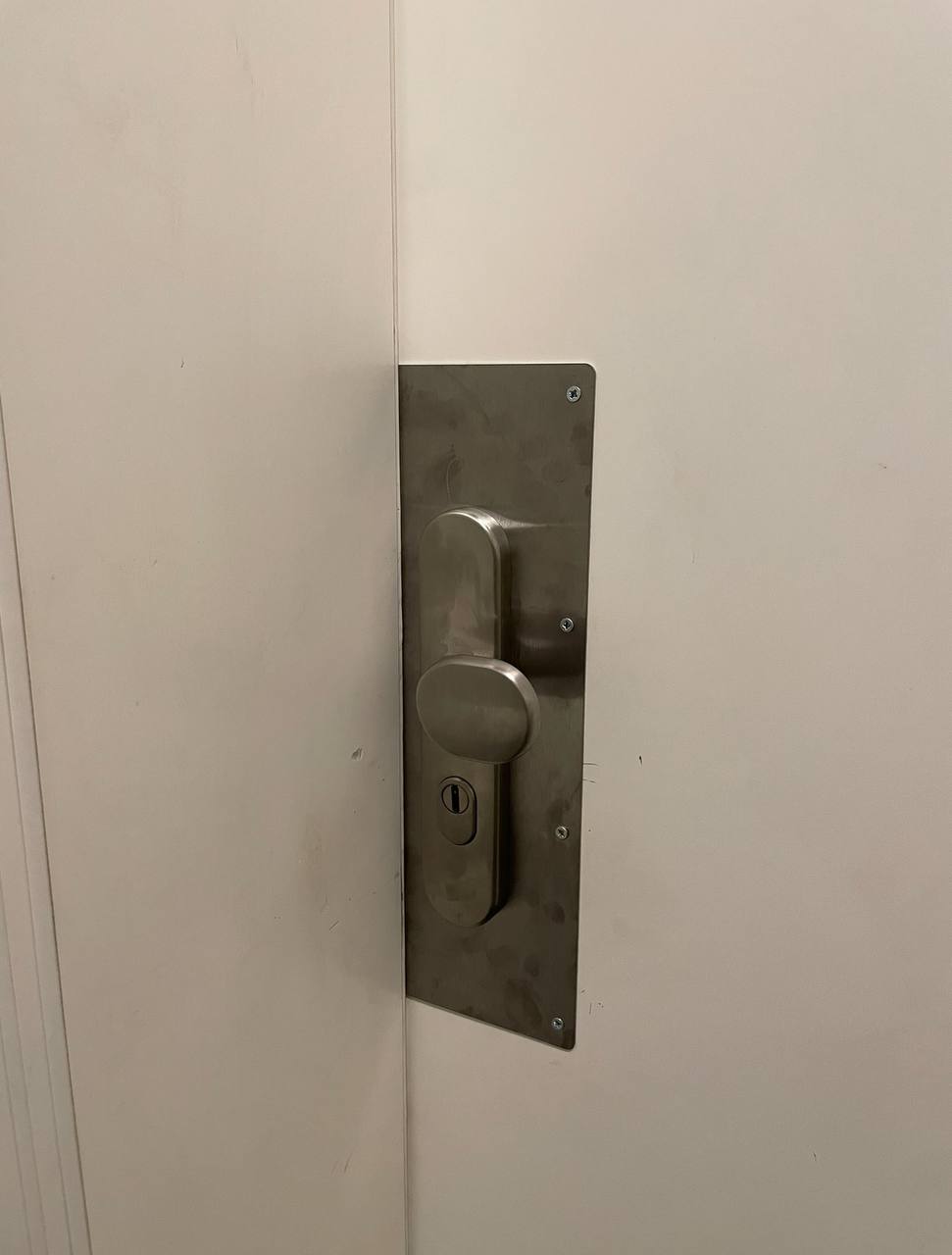Türreparatur mit Schutzblech